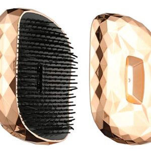 BeautE Secrets Detangling Hair Comb Brush