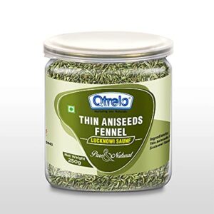 Qtrelo Lucknowi Saunf Green Thin Aniseeds 250g Fennel Seeds Barik Saunf Natural Whole
