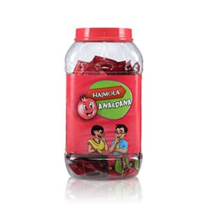 Dabur Hajmola Anardana - Tasty Digestive Tablets - 160 Sachet Jar