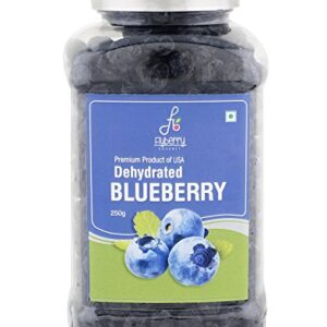 Flyberry Gourmet Premium Dehydrated Blueberries (250 GM)