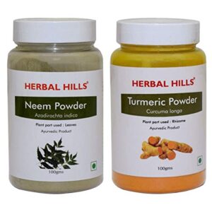 Herbal Hills Neem Powder and Turmeric Powder 100 gms each Natural Blood Purifier