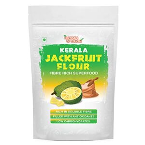 Flavours of Calicut - Kerala Jackfruit Flour - 500g