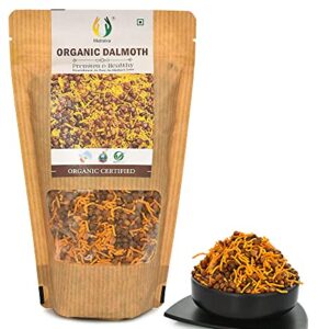 Matratva Organic Dal Moth Namkeen - 250 gm | Crunchy & Spicy | Organic Namkeen | Healthy Indian Snacks | Crispy & Fresh Snack | No Preservatives