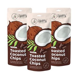 Flyberry Gourmet Toasted Coconut Chips with Cacao 150 Gms (Pack of 3x50Gms)