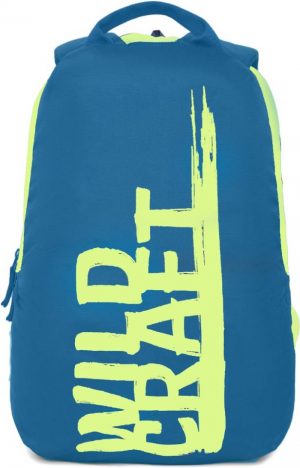 17.5 L Laptop Backpack Knight W  (Blue)
