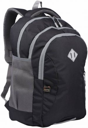 Medium 29 L Laptop Backpack Laptop Bag for Men and Women | Waterproof Backpack | School Bags for Kids | Office Backpack | 15.6 inch Laptop | Black |  (Black)