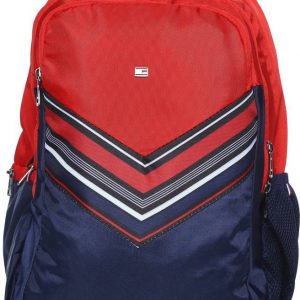 Medium 25 L Laptop Backpack Rene  (Red