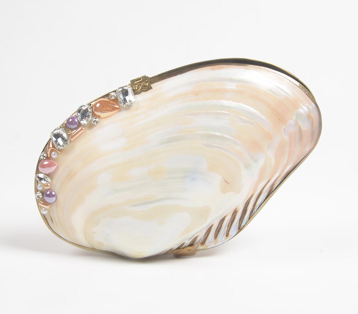 Statement Handcrafted Seashell Jewelry Box - Natural - VAQL101018108417