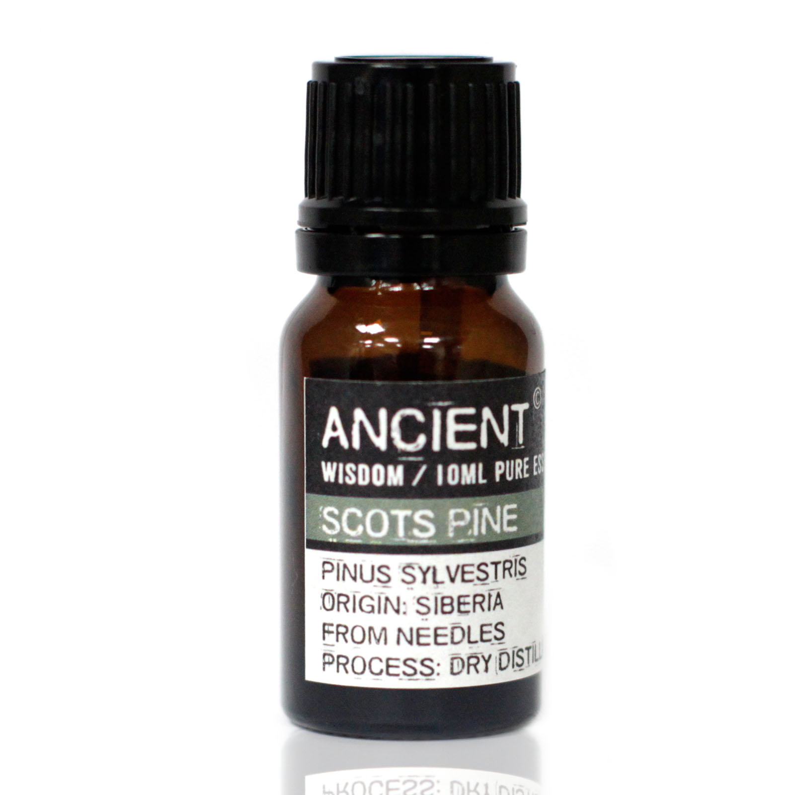 10 ml Pine Sylvestris (Scots Pine) Essential Oil - 1 Piece (EO-45)