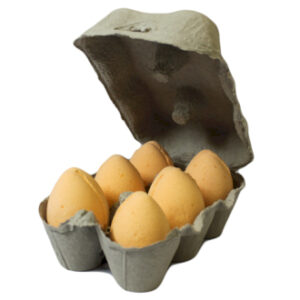 Bath Eggs - Tangerine & Grapefruit - 6 Piece (Begg-06DS)