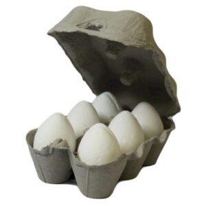 Bath Eggs - Coconut - 6 Piece (Begg-04DS)