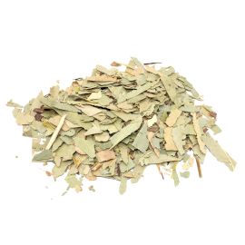 Eucalyptus (cut leaf) 1Kg - 1 Piece (PF-34)