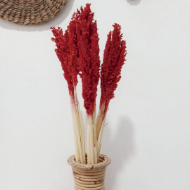 Cantal Grass Bunch - Fire - 6 Piece (CGB-06)