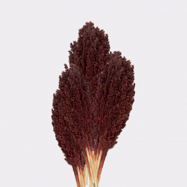 Cantal Grass Bunch - Chocolate - 6 Piece (CGB-05)