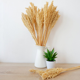 Cantal Grass Bunch - Natural - 6 Piece (CGB-01)