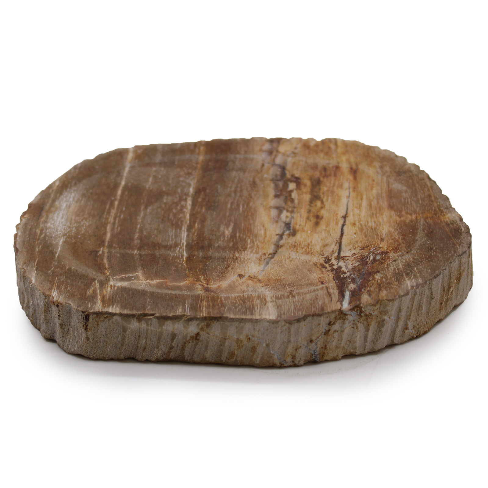 Petrified Wood Brown Soap Dish - 1 Piece (SSD-15)