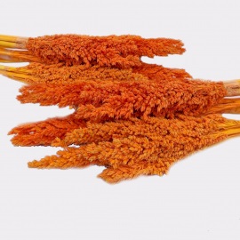 Cantal Grass Bunch - Orange - 6 Piece (CGB-03)
