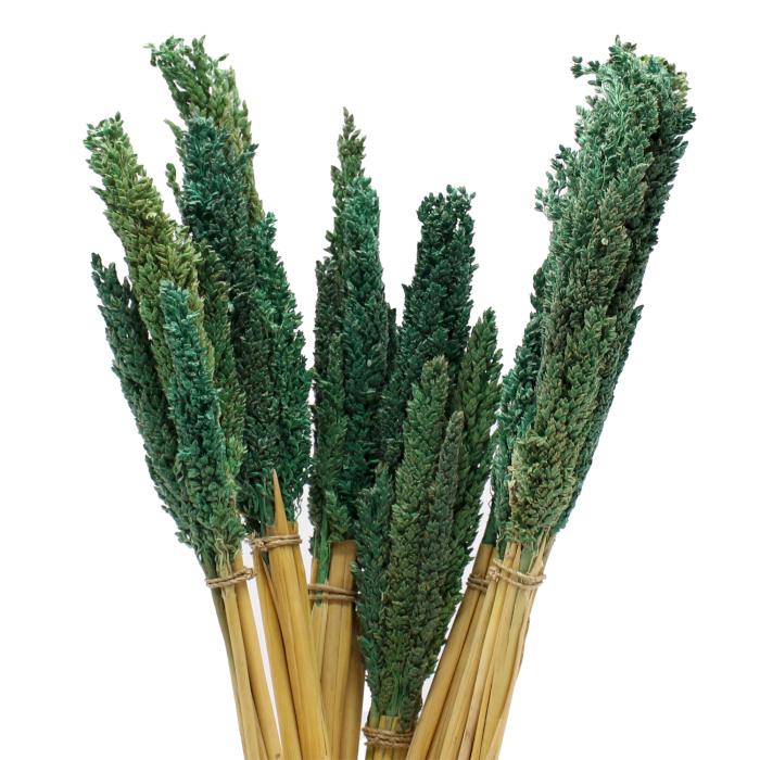 Cantal Grass Bunch - Teal - 6 Piece (CGB-08)