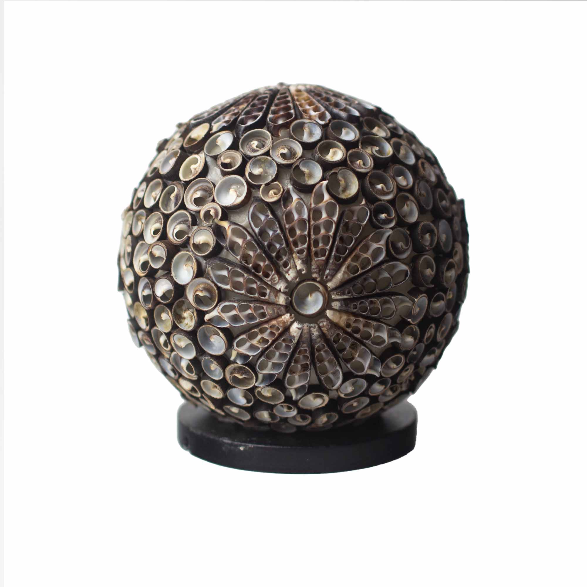 Boho Sea Shell Lamp - Chocolate Twist Globe - 15cm - 1 Piece (BBSL-05)