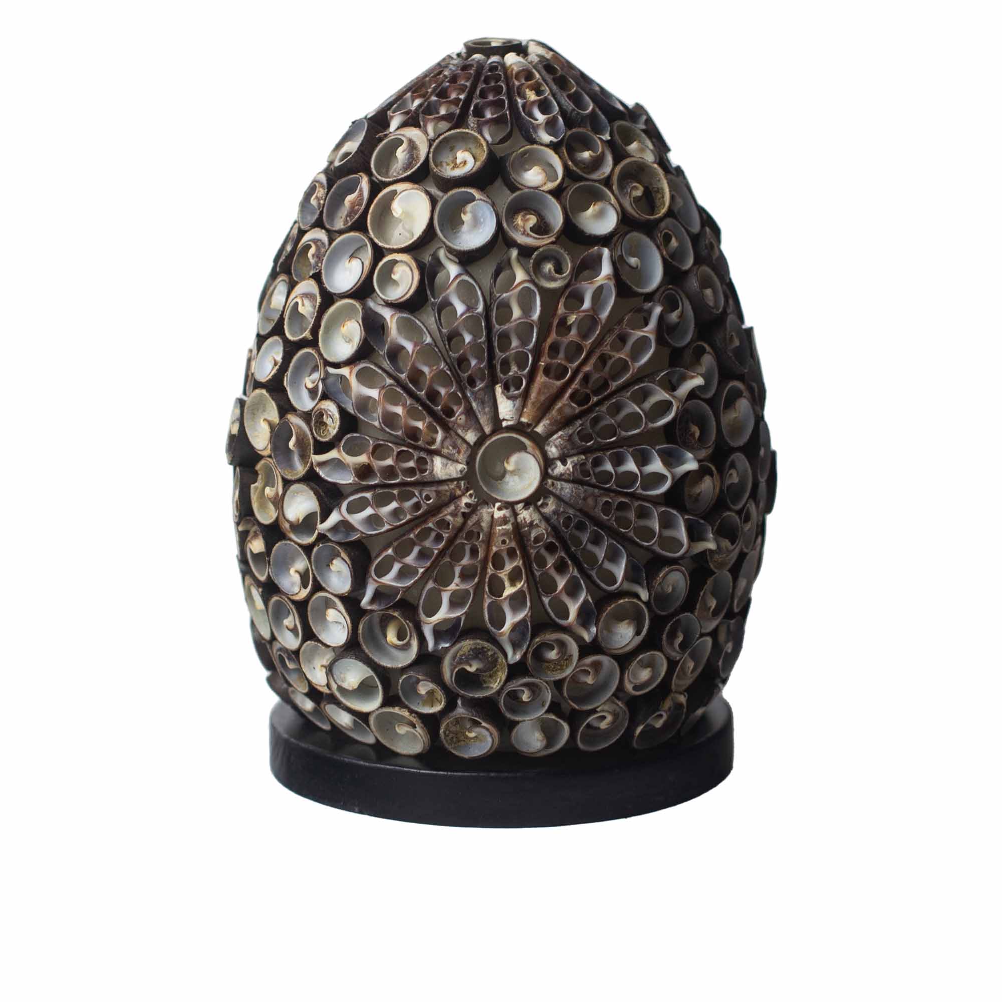Boho Sea Shell Lamp - Chocolate Twist Oval - 15cm - 1 Piece (BBSL-06)