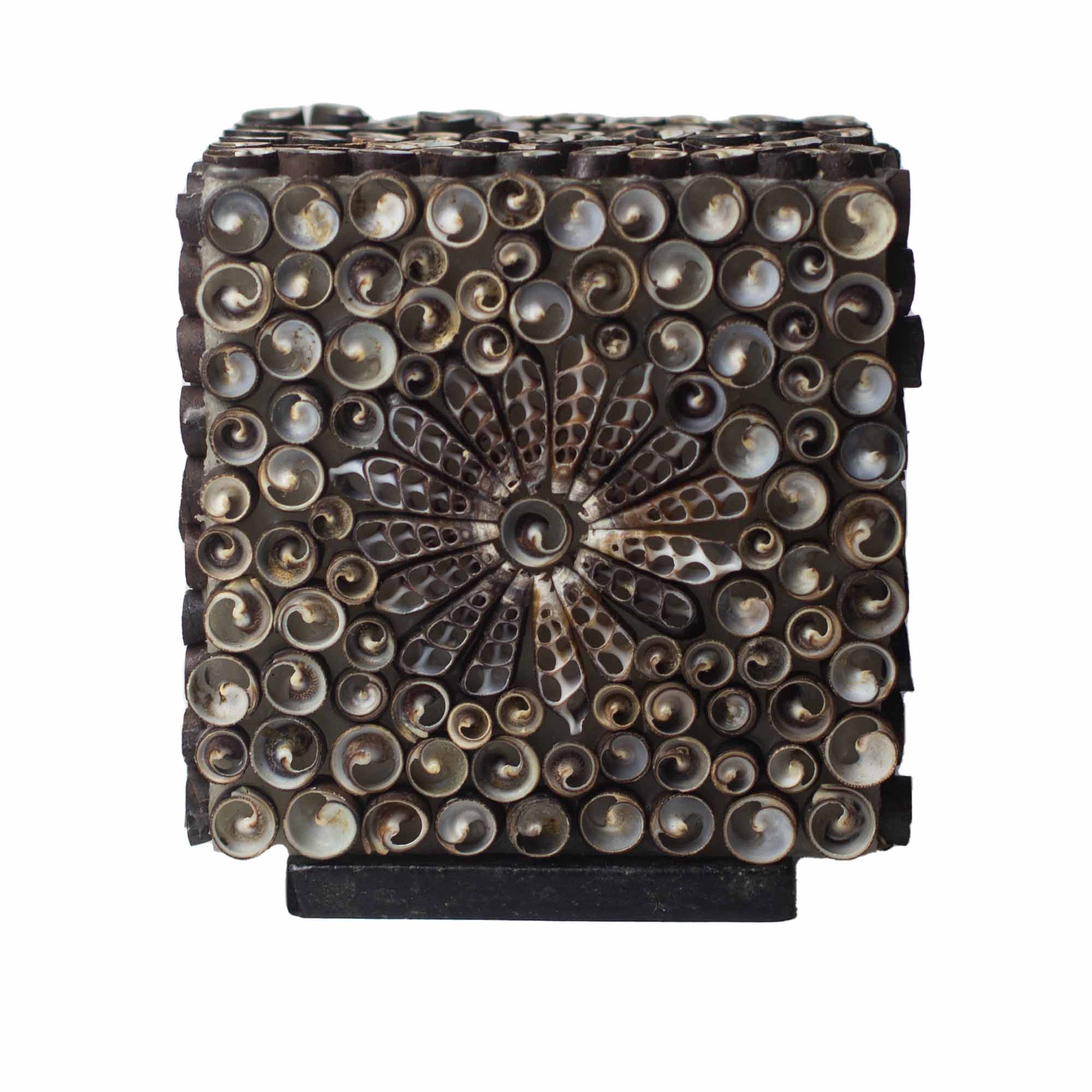 Boho Sea Shell Lamp - Chocolate Twist Square - 15cm - 1 Piece (BBSL-08)