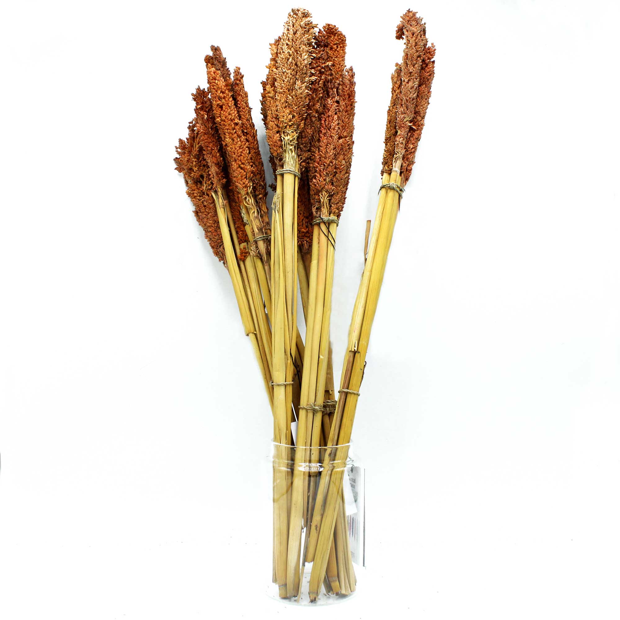 Cantal Grass Bunch - Rust - 6 Piece (CGB-04)