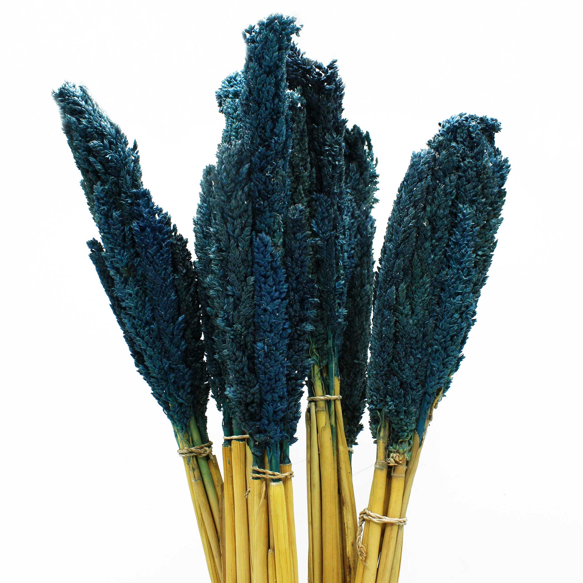 Cantal Grass Bunch - Blue - 6 Piece (CGB-09)