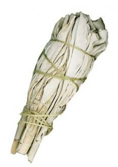 Smudge Stick - White Sage 10cm - 1 Piece (SmudgeS-11)